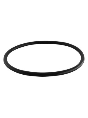 GUARNICAO DA FLANGE GM ONIX 1.0 12V FLEX DS1489